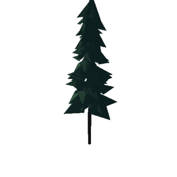 Fir Tree 1